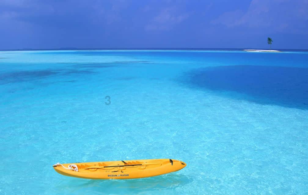 牛油果面包